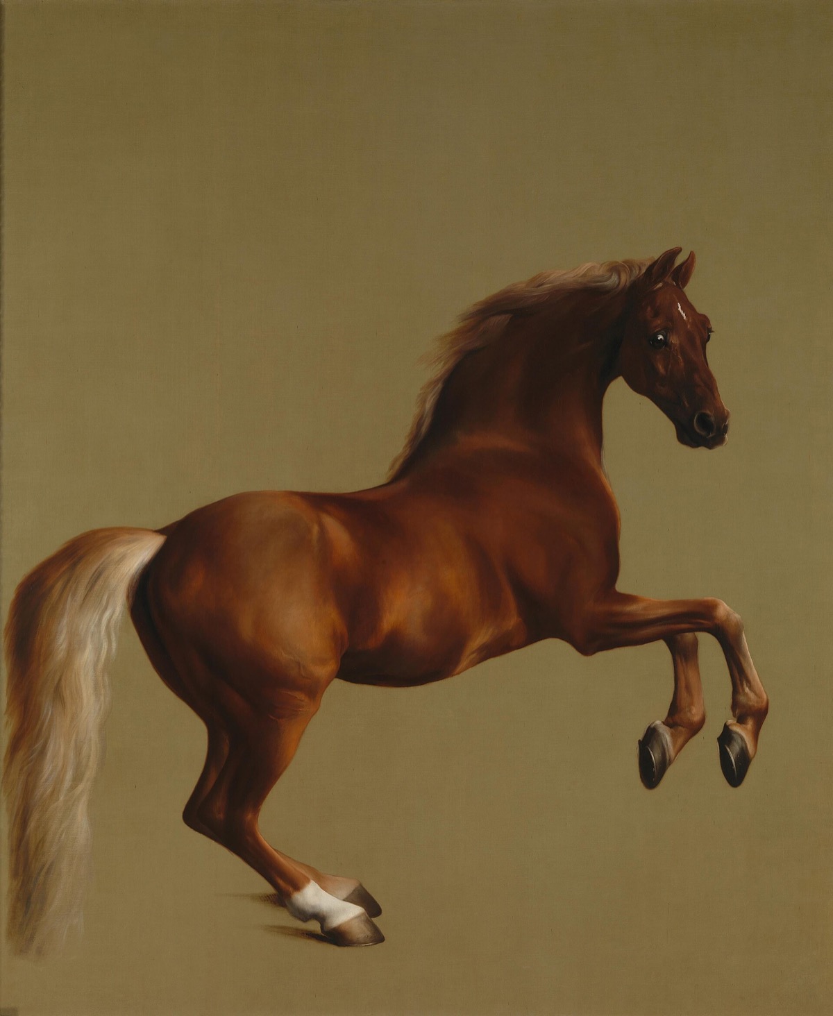 Whistlejacket, by Stubbs: a chestnut stallion rearing against a plain olive ground.