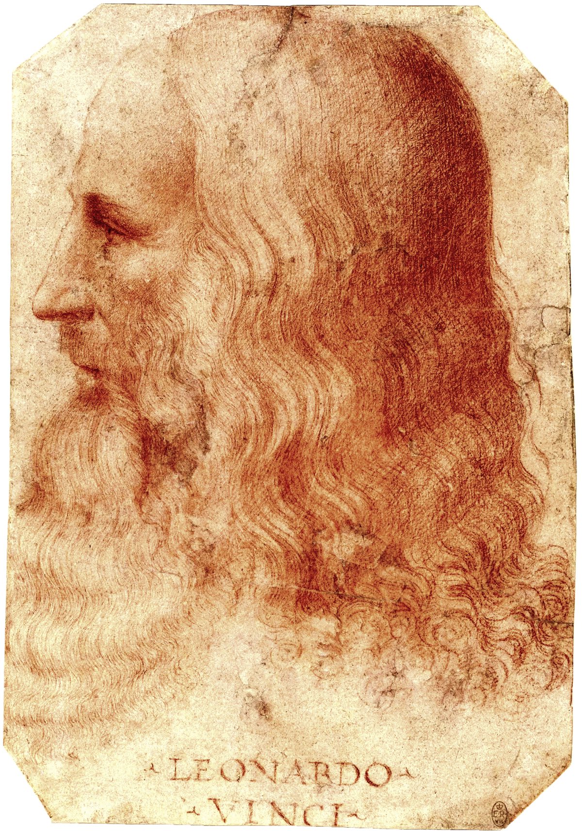 A portrait of Leonardo da Vinci in profile, drawn in red chalk by his pupil Francesco Melzi.