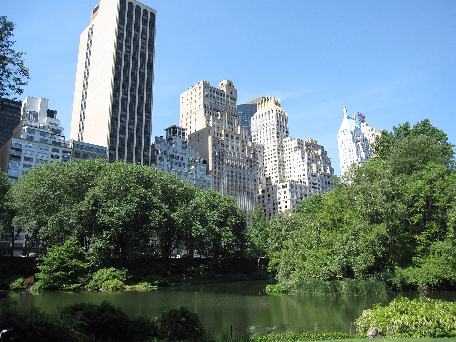 The hotels of Central Park South seen across the Pond from inside the park.