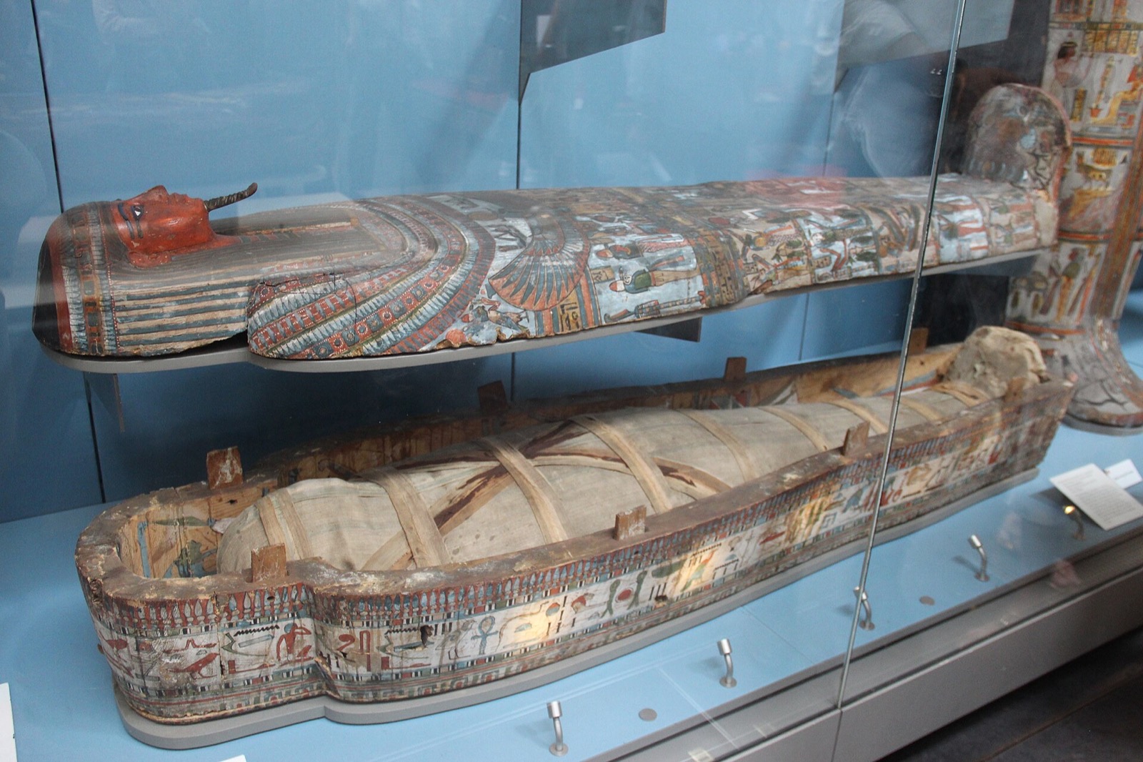 An Egyptian mummy and its painted coffin in a case at the British Museum.