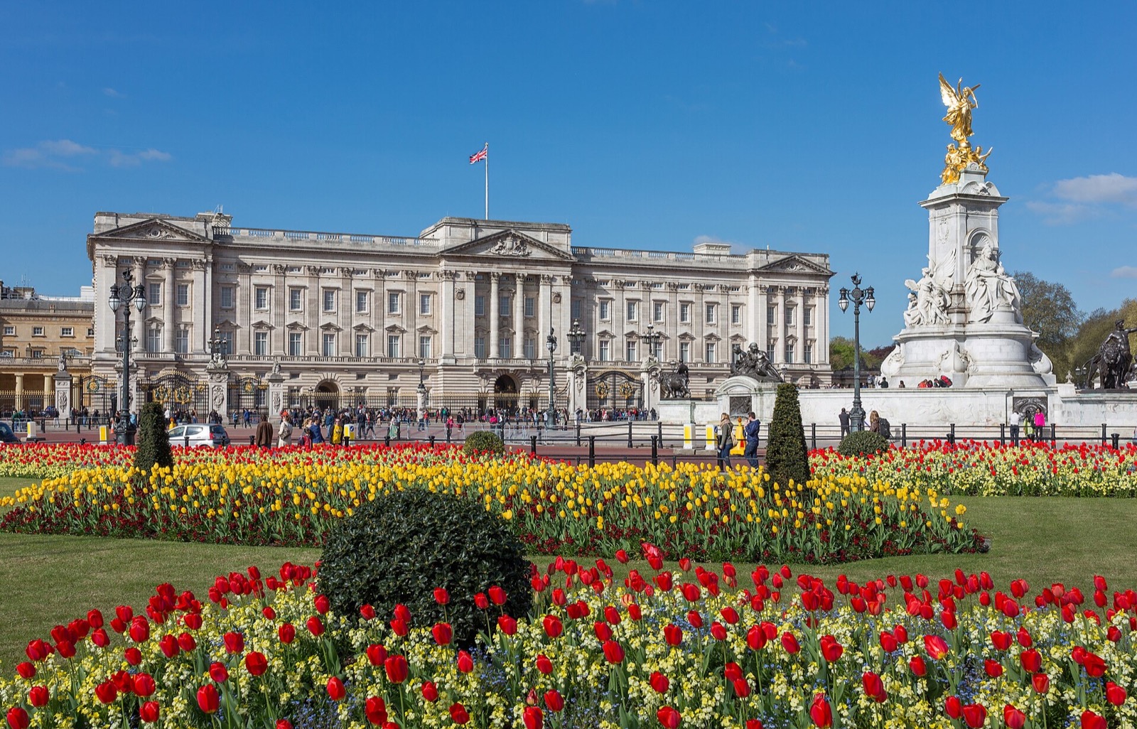 Buckingham Palace and the Victoria Memorial seen over beds of red and yellow tulips.