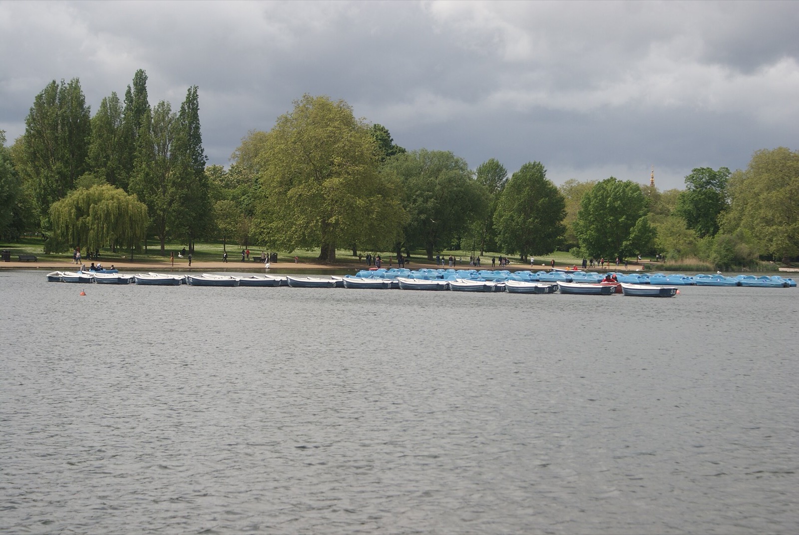 Blue hire boats moored on the Serpentine in Hyde Park.