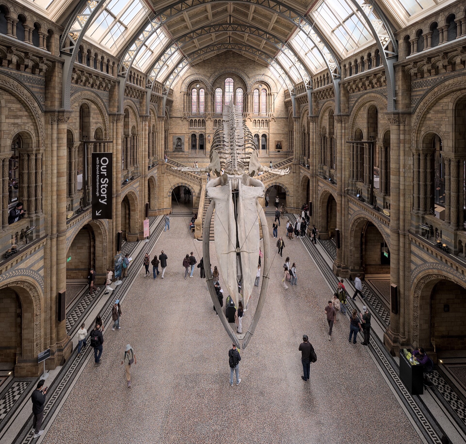 Hintze Hall of the Natural History Museum seen from the upper gallery, with the whale skeleton hanging down its length.