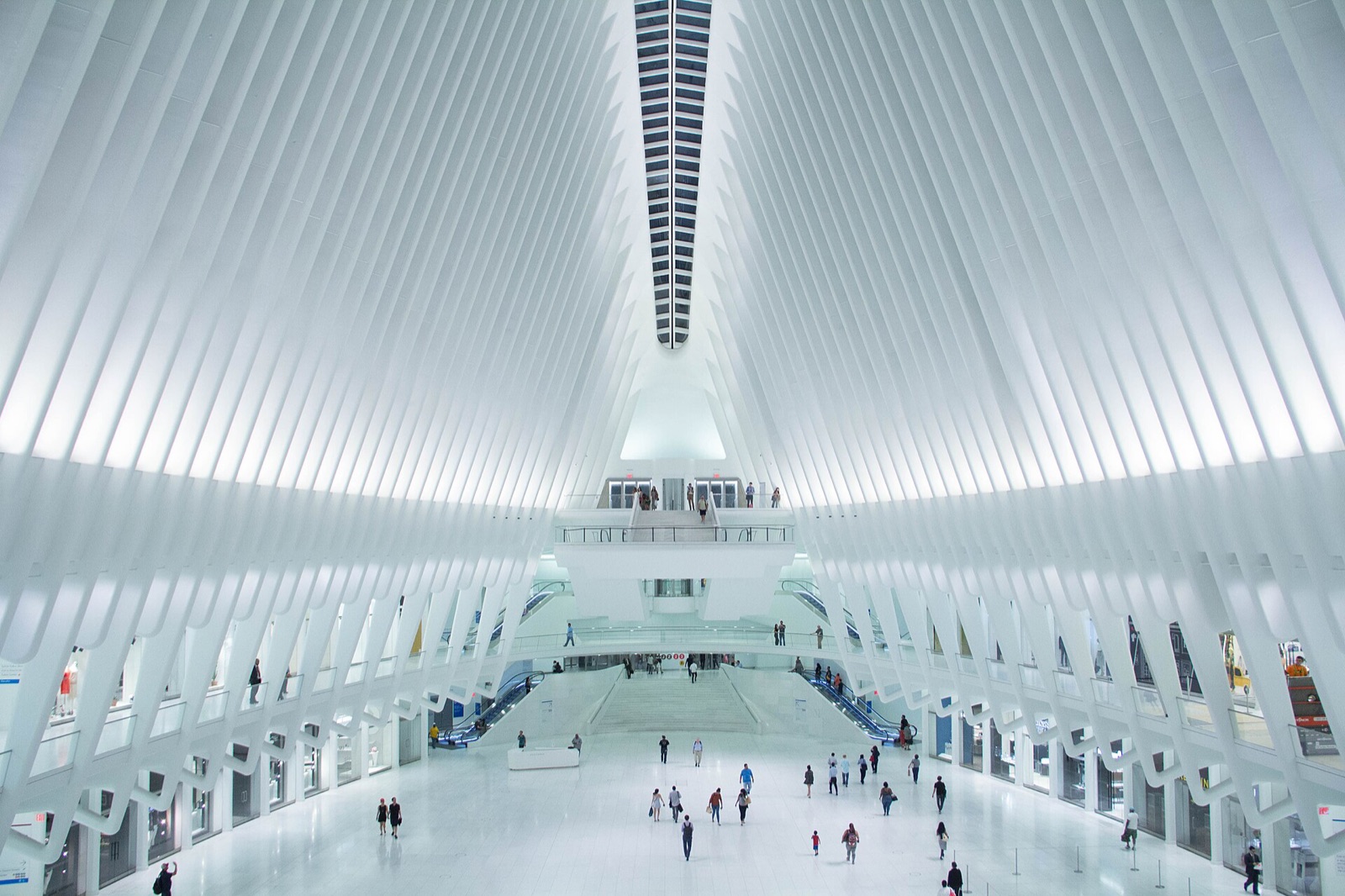 The inside of the Oculus at the World Trade Center, a hall of white ribs meeting at a strip of sky.