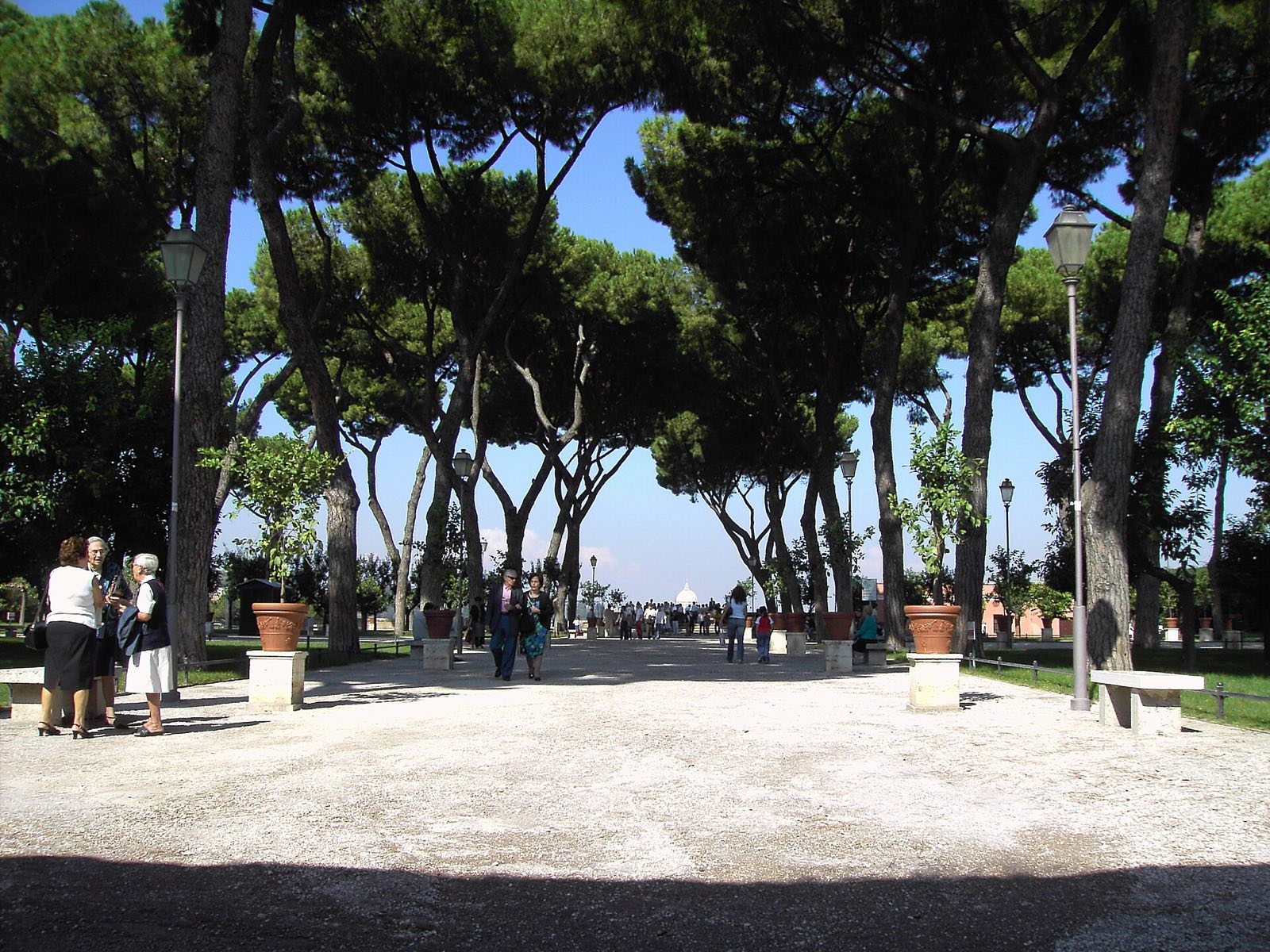 The path between orange trees and pines in the Orange Garden on the Aventine.