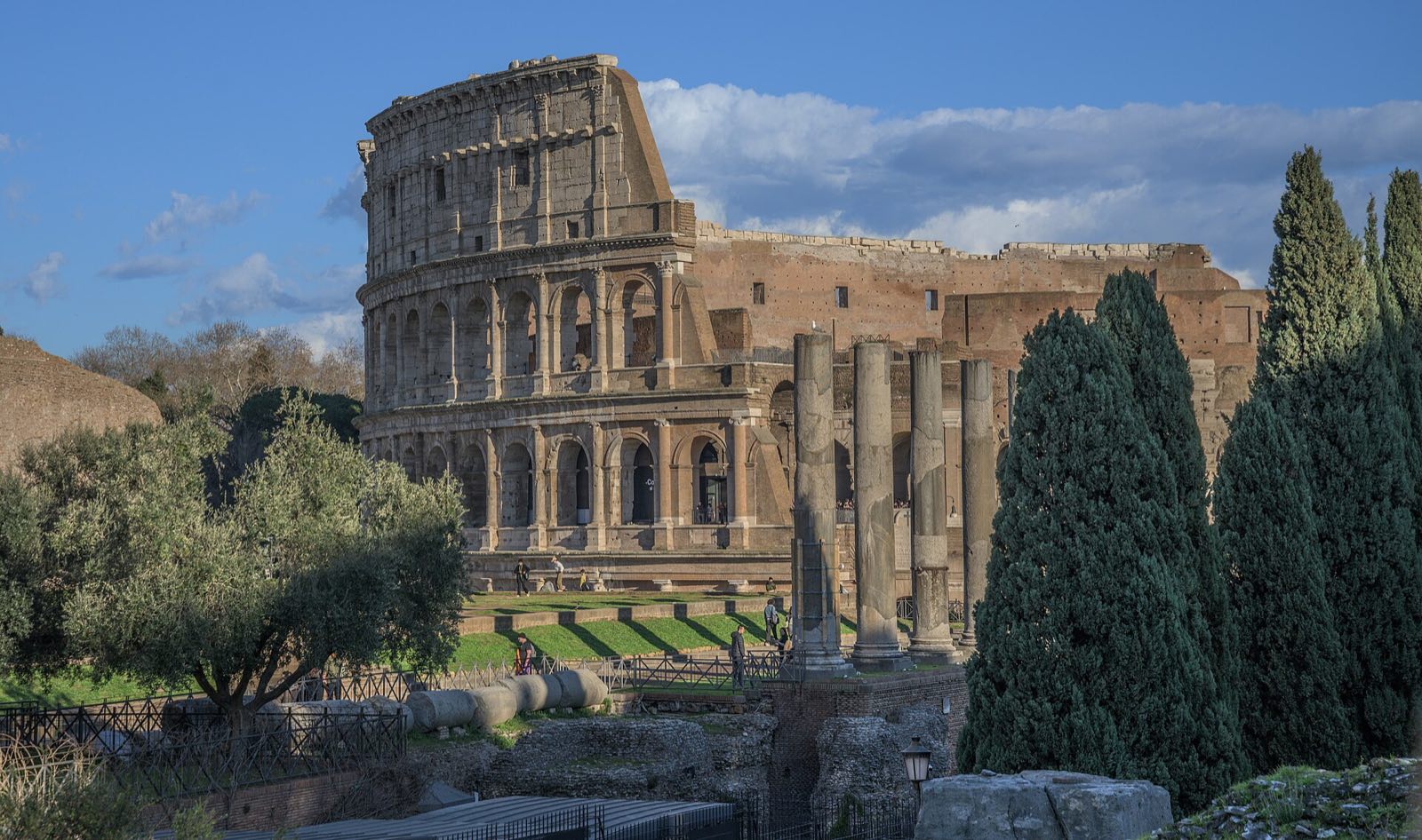The Colosseum seen across the ruins and pines of the Roman Forum.