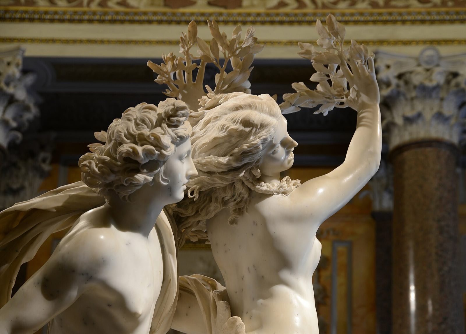 Bernini's marble group of Apollo and Daphne in the Galleria Borghese: her hands are turning into laurel branches.