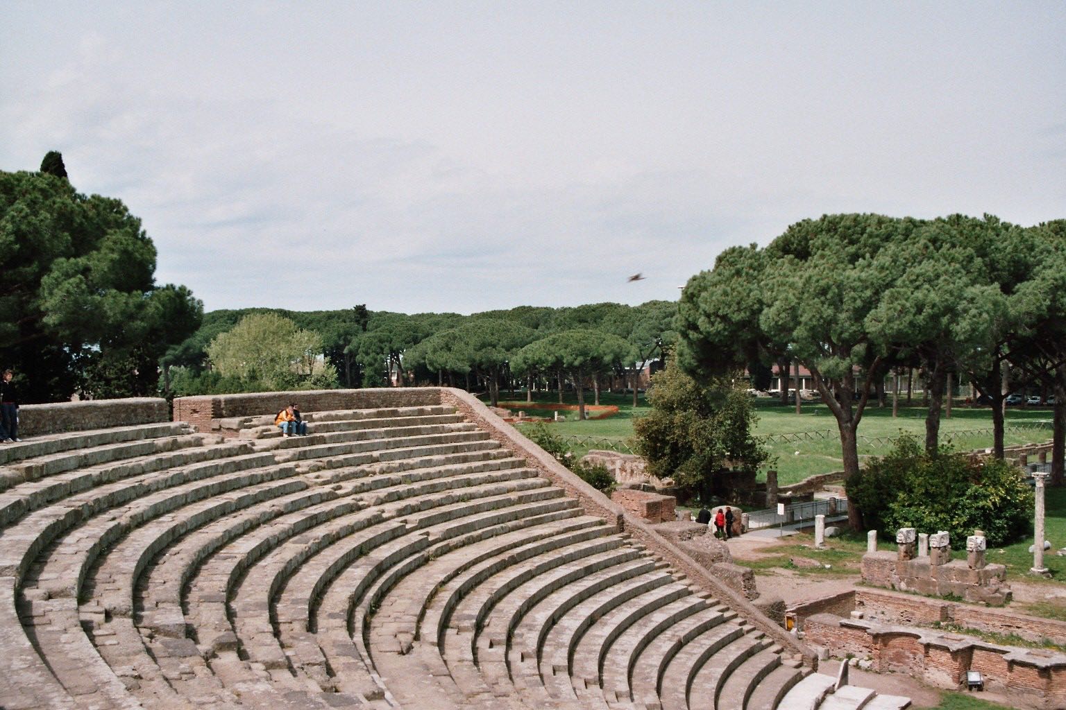 The stone seats of the Roman theatre at Ostia Antica, with pines behind.